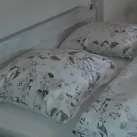 Zinimiri
