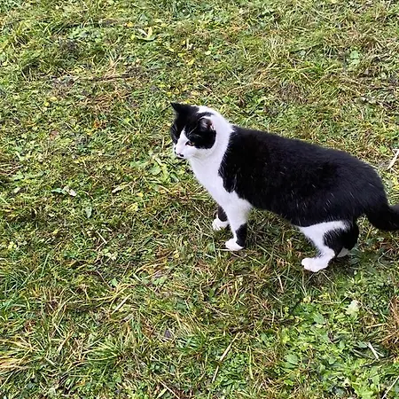 Apartamento Zinimiri