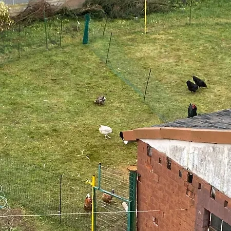 Apartamento Zinimiri *