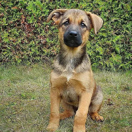 Apartamento Zinimiri