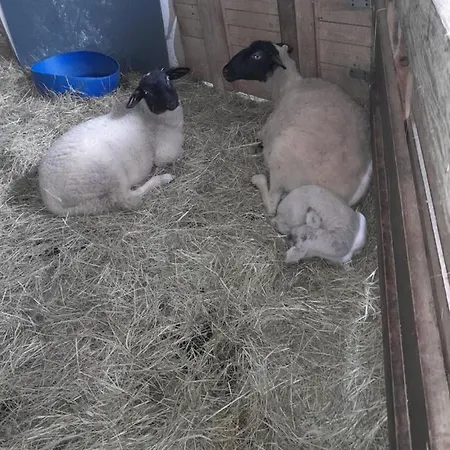 Apartamento Zinimiri Freiensteinau