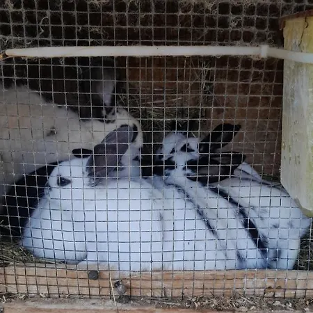 Apartamento Zinimiri