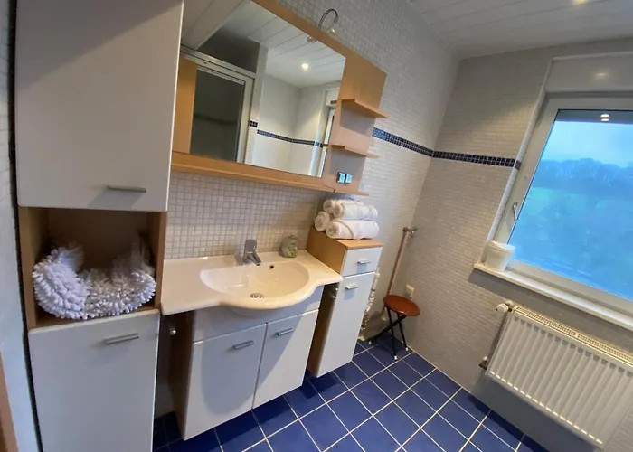 Zinimiri Freiensteinau